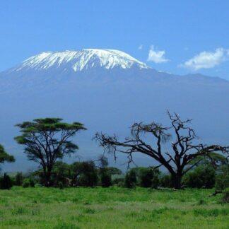 Extreme Vacation: Safari to the Masai Mara Reserve