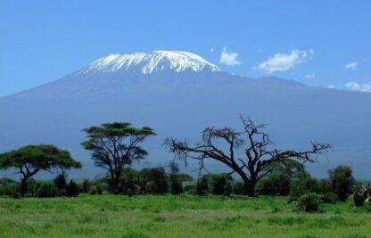 Extreme Vacation: Safari to the Masai Mara Reserve