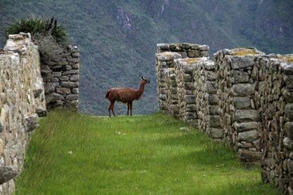 Extreme Vacation: Manchu Picchu - Image 5